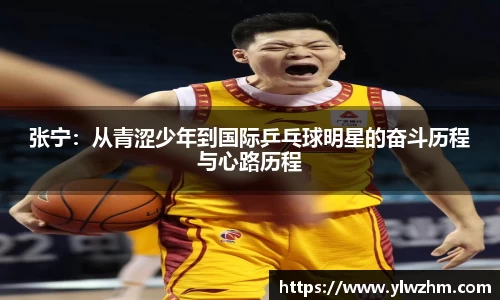 张宁：从青涩少年到国际乒乓球明星的奋斗历程与心路历程