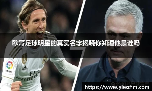 jn江南·体育登录入口