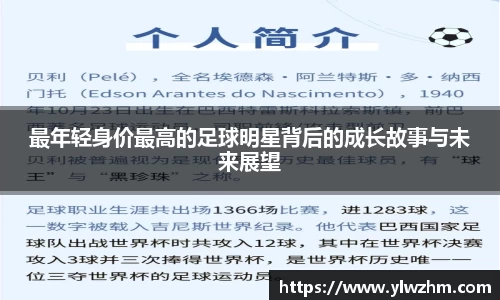 jn江南·体育登录入口